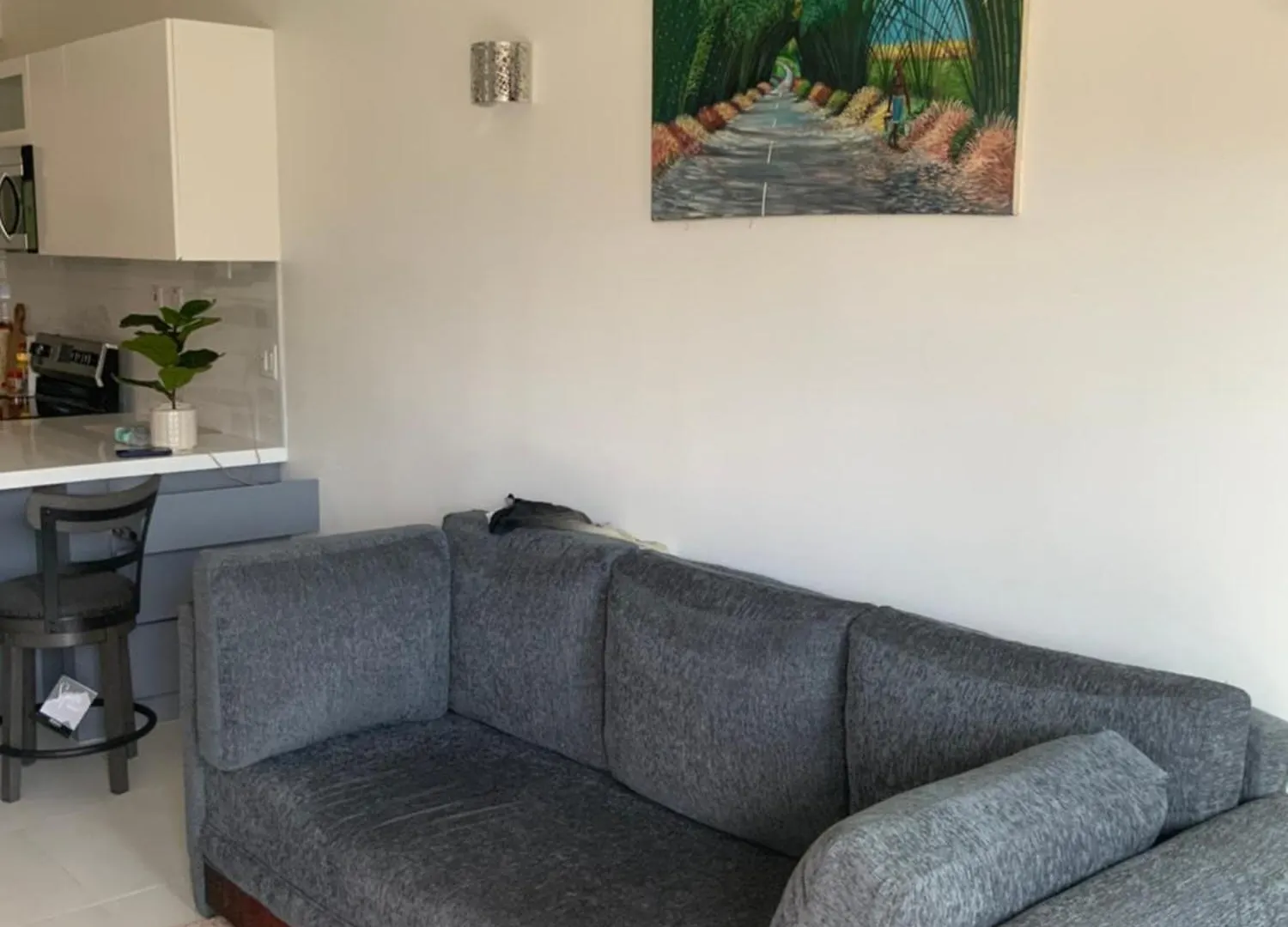 Impeccable 2-Bed Apartment In Kingston Jamaika